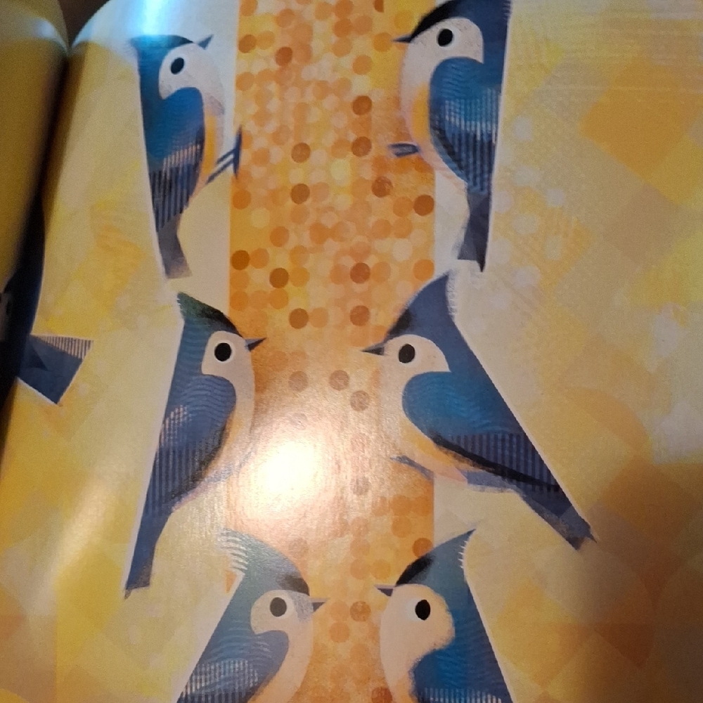 Backyard Birds For Babies - Softback Book - Picture 4 of 4